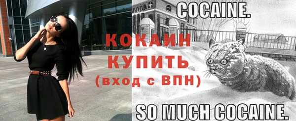 дмт Горняк