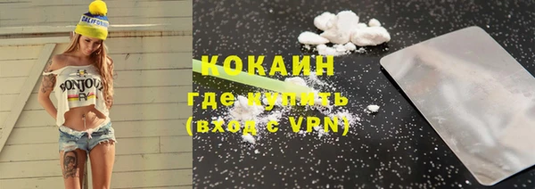 дмт Горняк